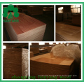 HDF Door Skin/Natural Wood Veneer Door Skin/MDF Door Skin